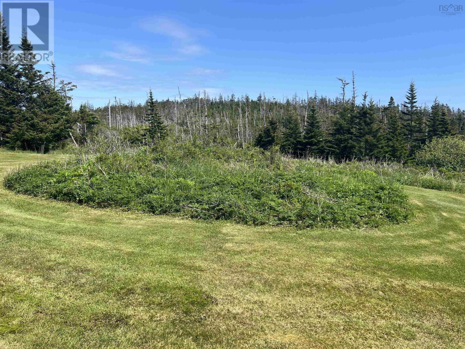 Lot2 316 Highway, Upper Whitehead, Guysborough County, Nova Scotia  B0H 1T0 - Photo 18 - 202408935