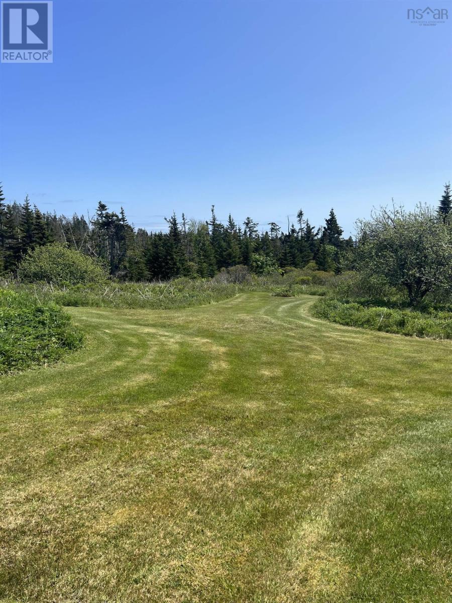 Lot2 316 Highway, Upper Whitehead, Guysborough County, Nova Scotia  B0H 1T0 - Photo 19 - 202408935