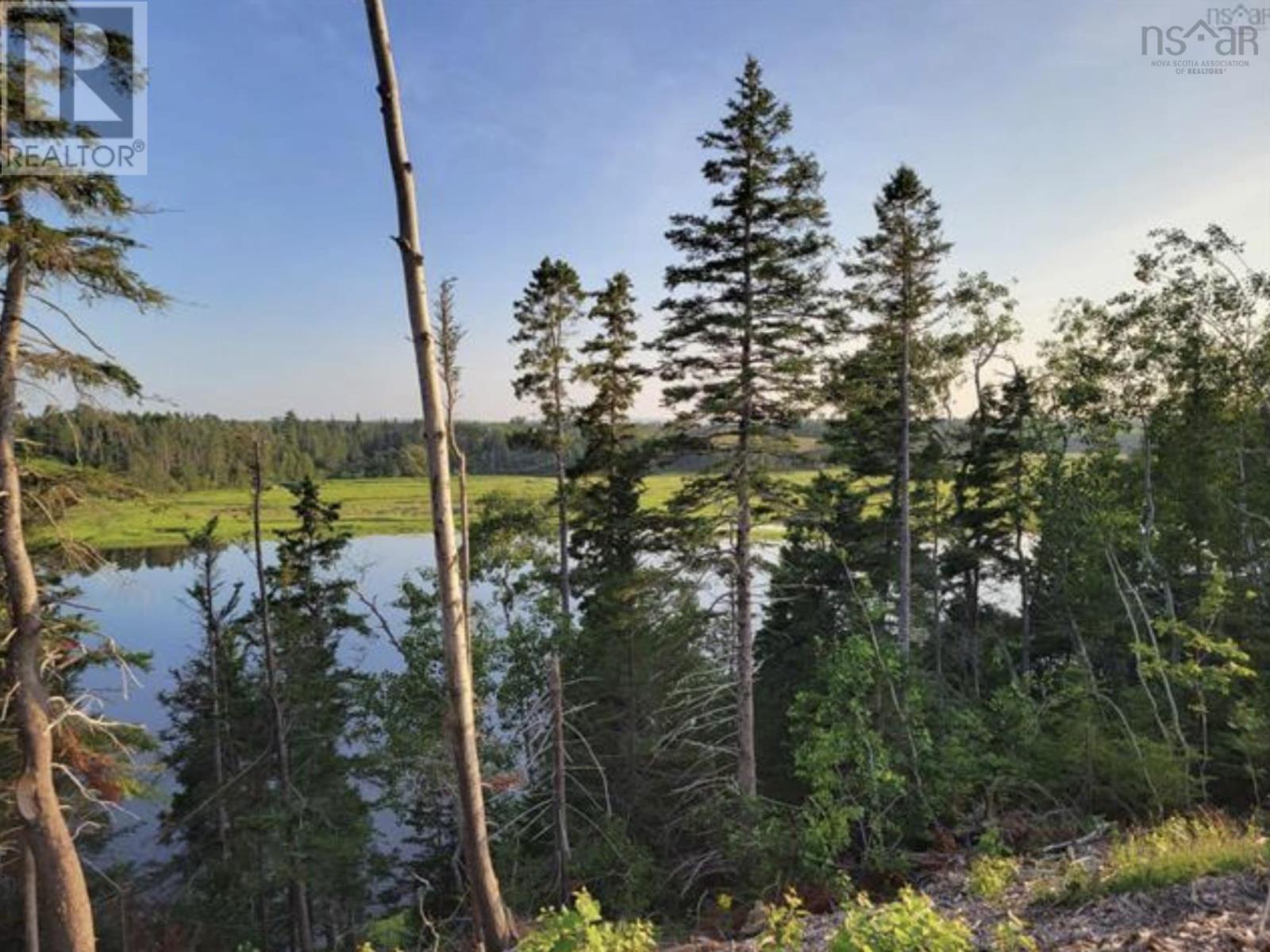 Lot 1 Tattrie Settlement Road, Tatamagouche, Nova Scotia  B0K 1V0 - Photo 12 - 202409034