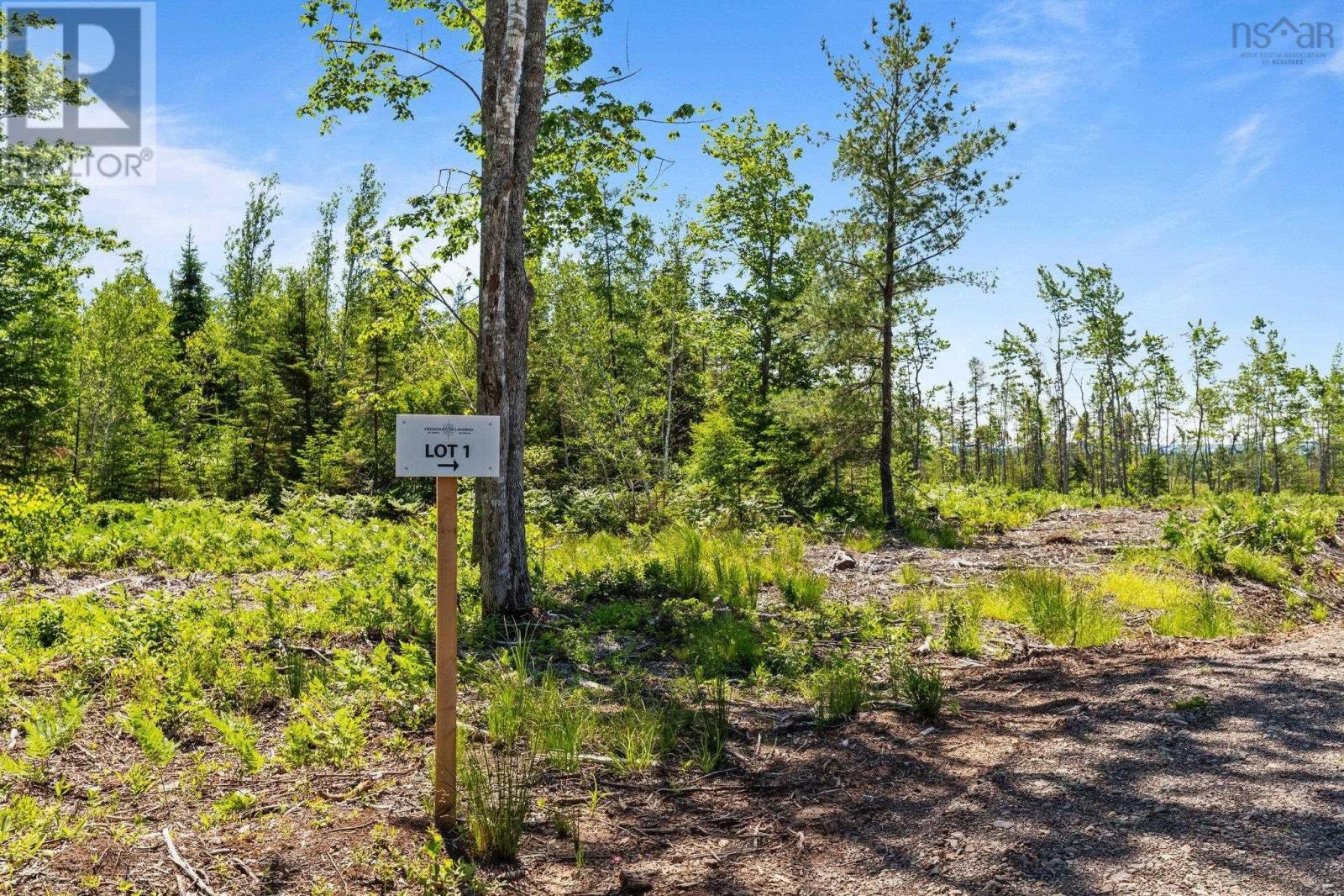 Lot 1 Tattrie Settlement Road, Tatamagouche, Nova Scotia  B0K 1V0 - Photo 17 - 202409034