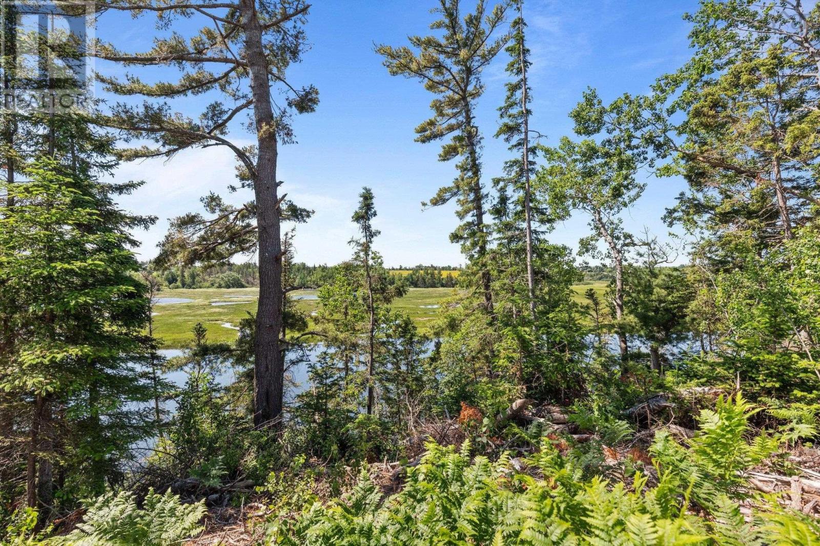 Lot 1 Tattrie Settlement Road, Tatamagouche, Nova Scotia  B0K 1V0 - Photo 25 - 202409034