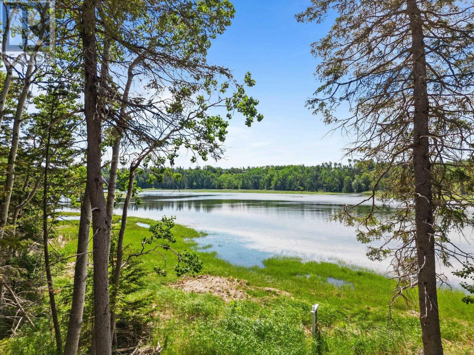 Lot 1 Tattrie Settlement Road, Tatamagouche, Nova Scotia  B0K 1V0 - Photo 7 - 202409034