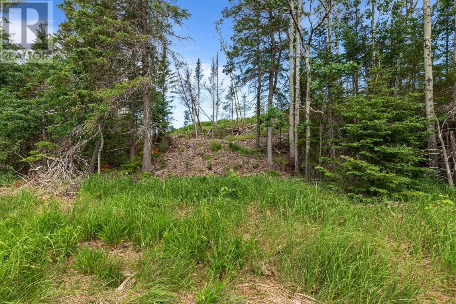 Lot 2 Tattrie Settlement Road, Tatamagouche, Nova Scotia  B0K 1V0 - Photo 11 - 202409036