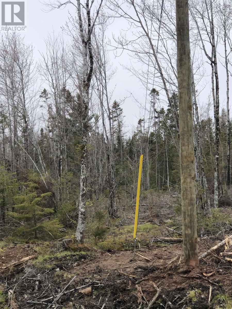 Lot 3 Tattrie Settlement Road, Tatamagouche, Nova Scotia  B0K 1V0 - Photo 28 - 202409038