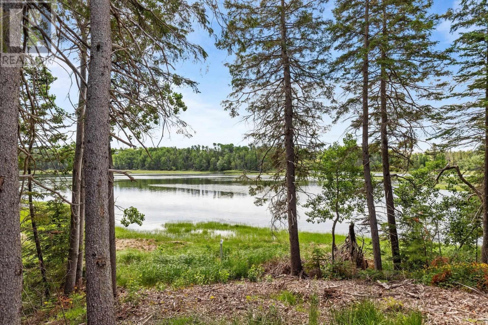 Lot 3 Tattrie Settlement Road, Tatamagouche, Nova Scotia  B0K 1V0 - Photo 8 - 202409038