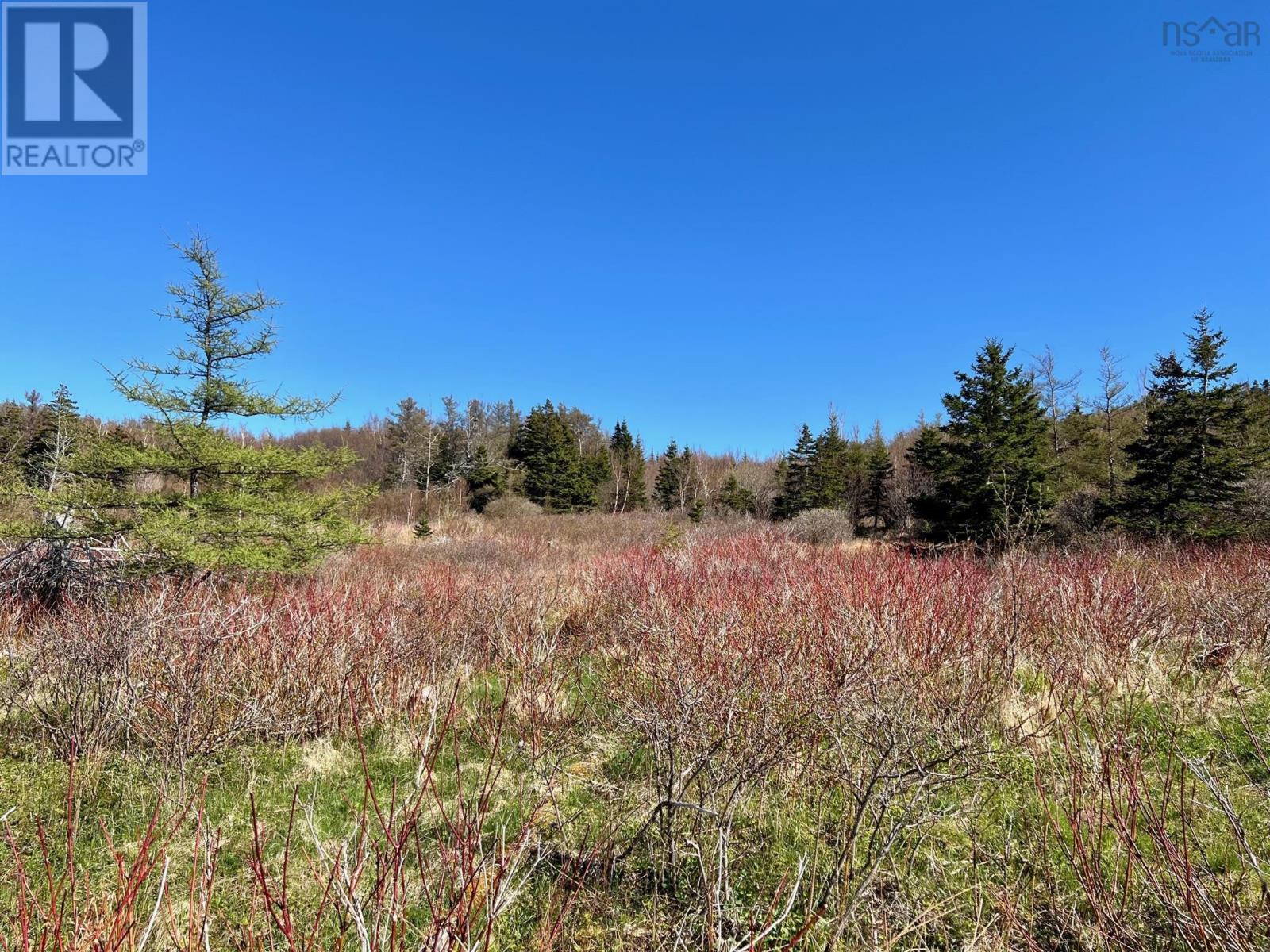 11838 Cabot Trail, Cap Le Moine, Nova Scotia  B0E 3A0 - Photo 6 - 202409056