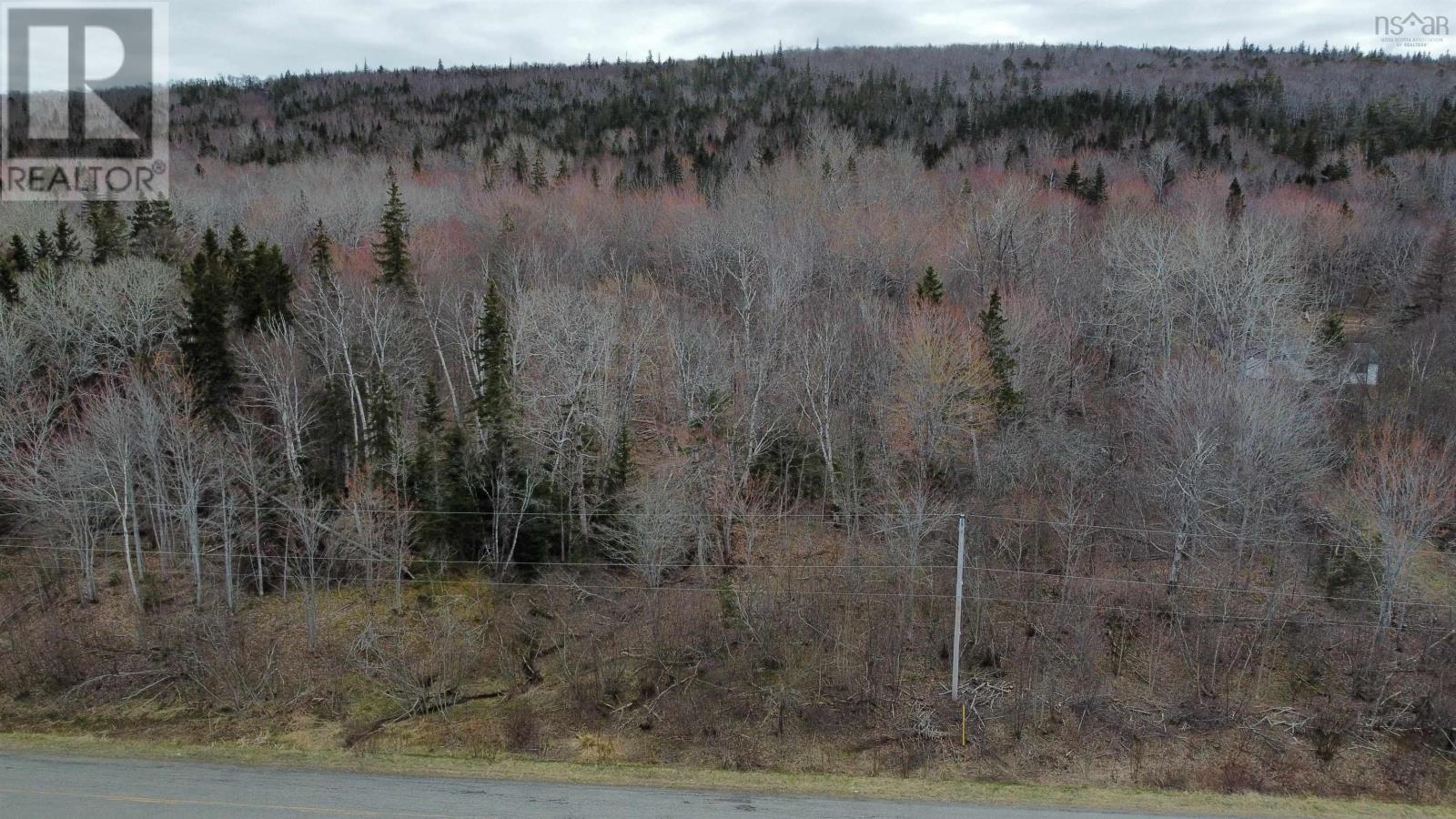 Lot 52 Marble Mountain Road, Malagawatch, Nova Scotia  B0E 3K0 - Photo 4 - 202409094