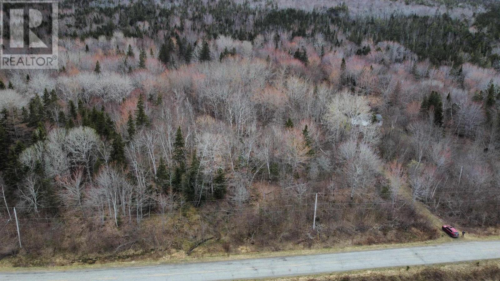 Lot 52 Marble Mountain Road, Malagawatch, Nova Scotia  B0E 3K0 - Photo 5 - 202409094