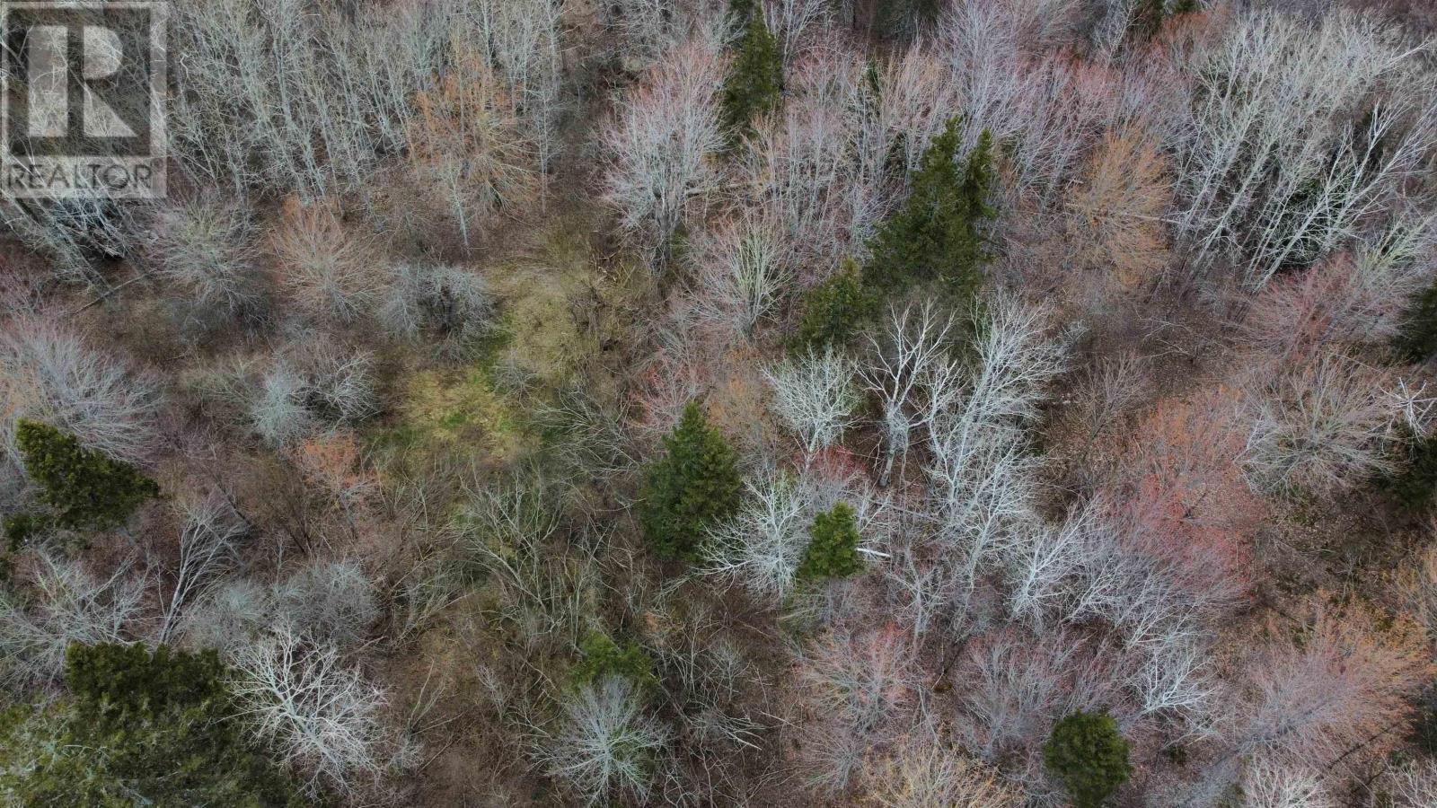 Lot 52 Marble Mountain Road, Malagawatch, Nova Scotia  B0E 3K0 - Photo 6 - 202409094