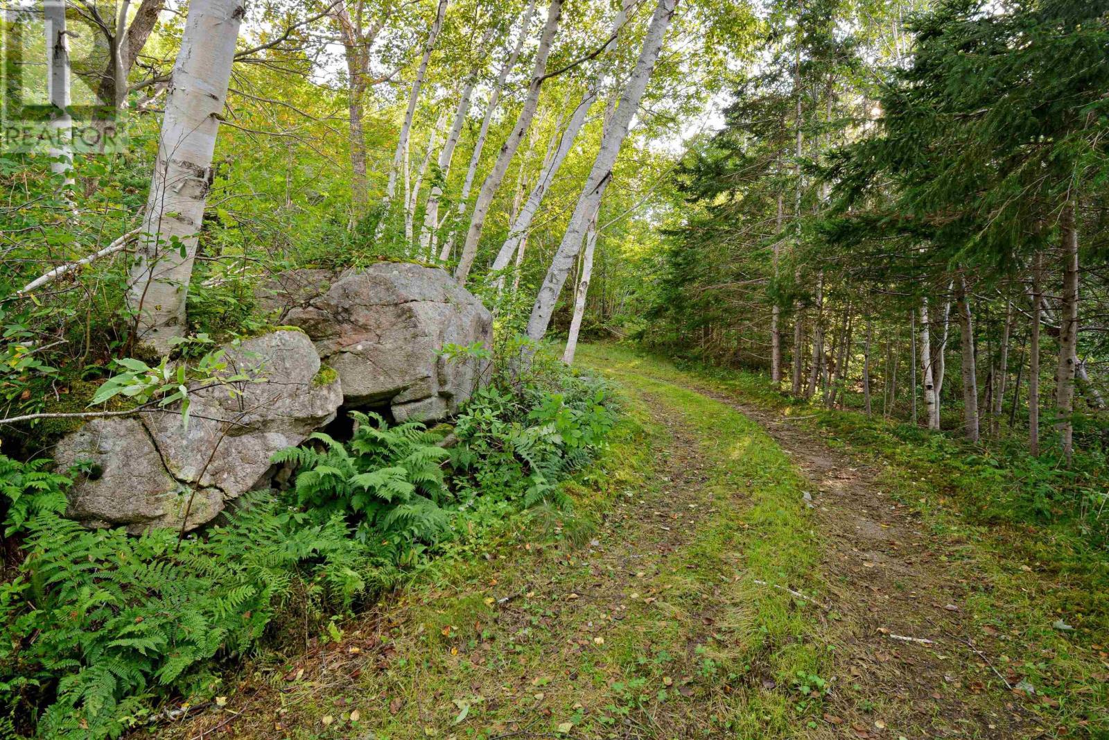 3844 West Lake Ainslie Road, West Lake Ainslie, Nova Scotia  B0E 3M0 - Photo 12 - 202409166