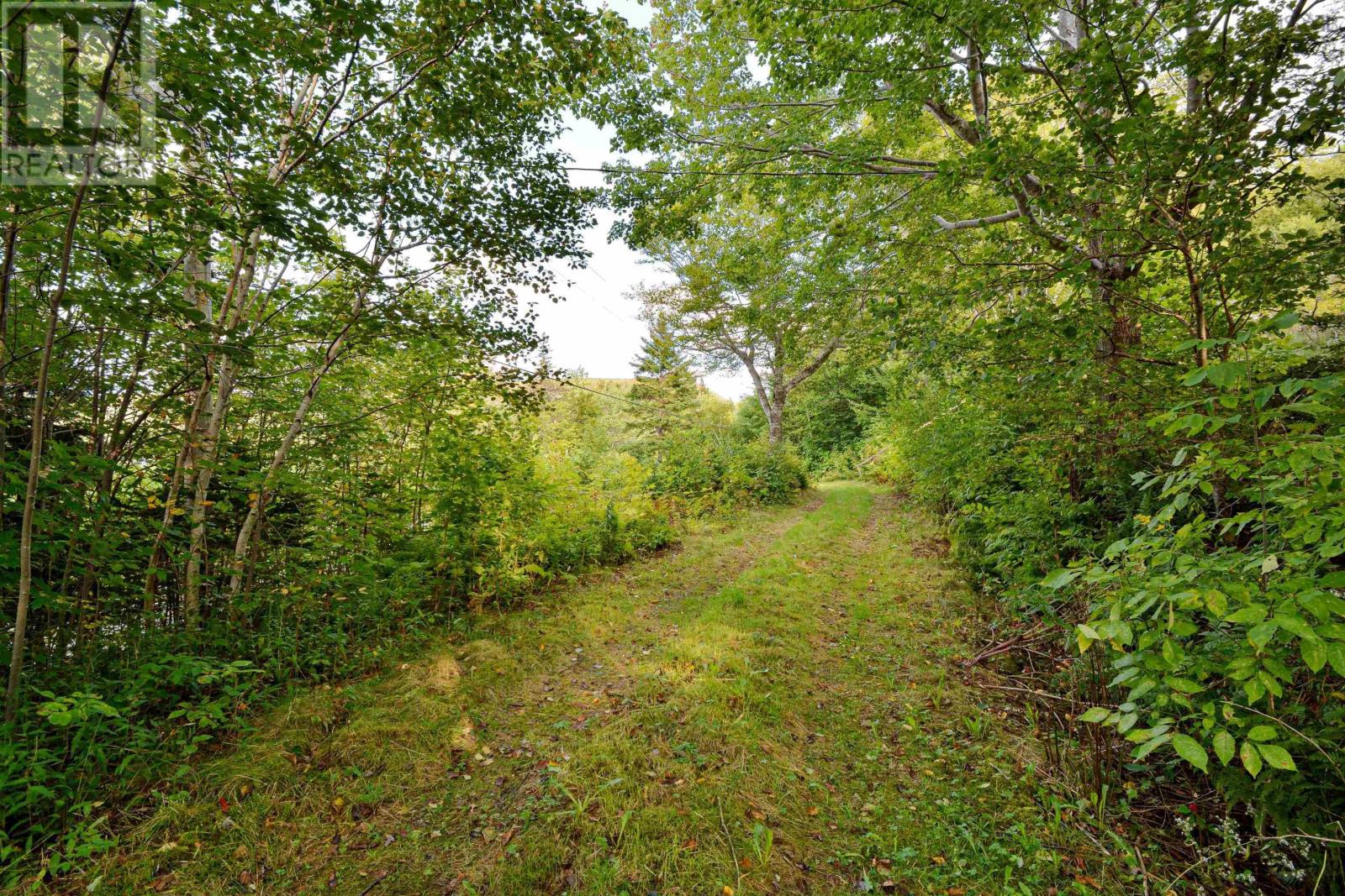 3844 West Lake Ainslie Road, West Lake Ainslie, Nova Scotia  B0E 3M0 - Photo 14 - 202409166