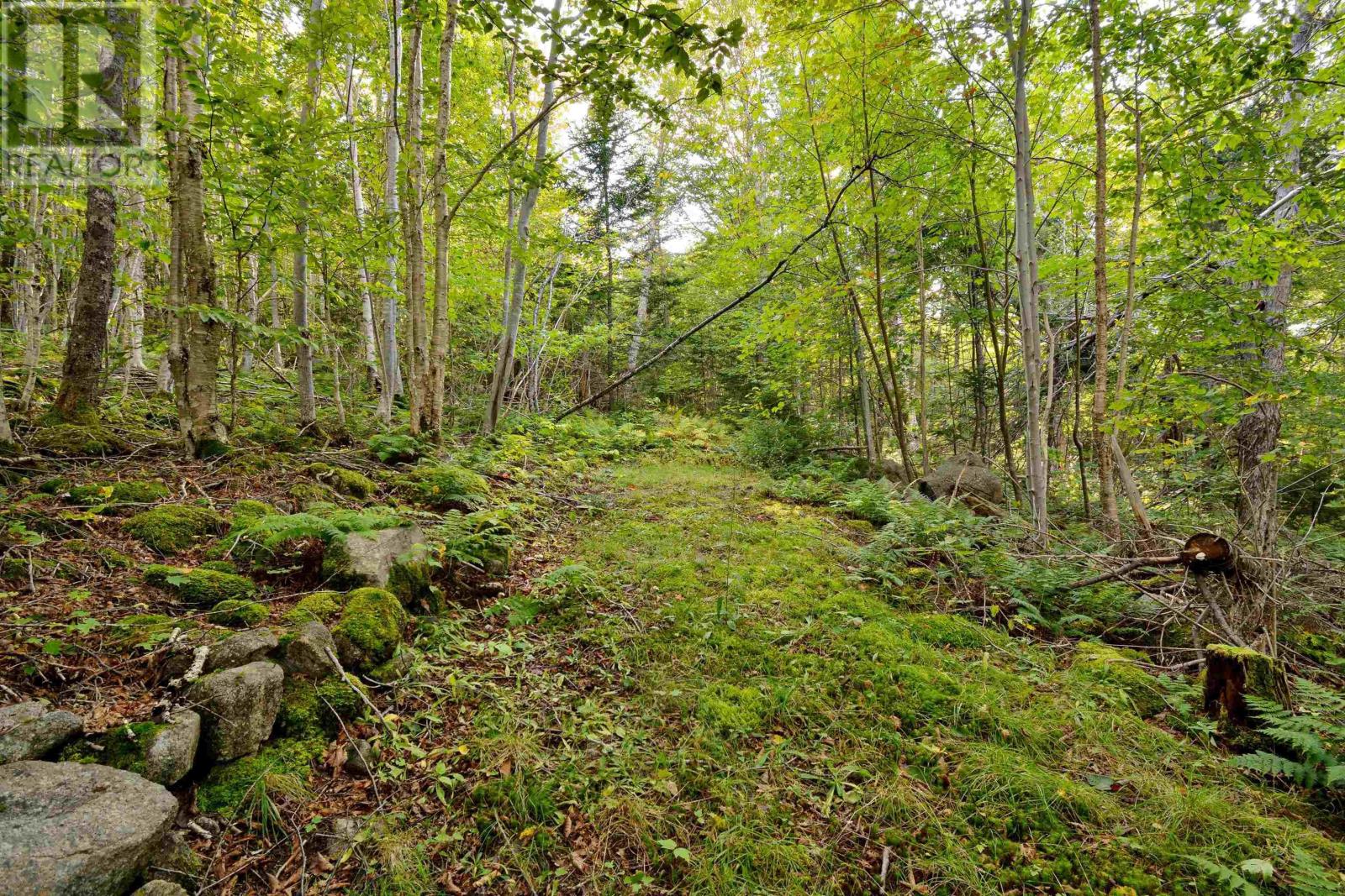 3844 West Lake Ainslie Road, West Lake Ainslie, Nova Scotia  B0E 3M0 - Photo 16 - 202409166