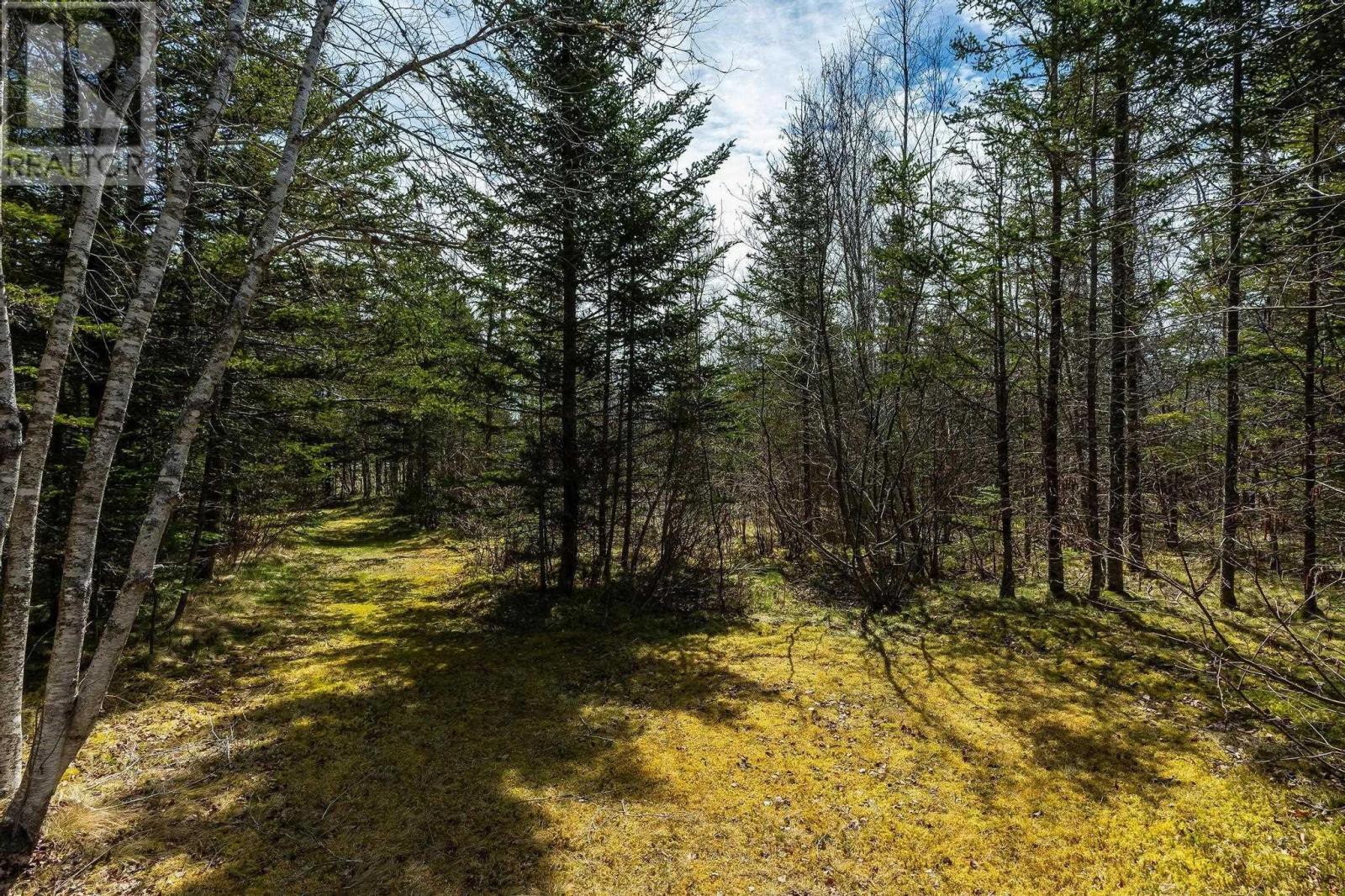 Lot Back Road, Lansdowne, Nova Scotia  B0S 1B0 - Photo 10 - 202409179