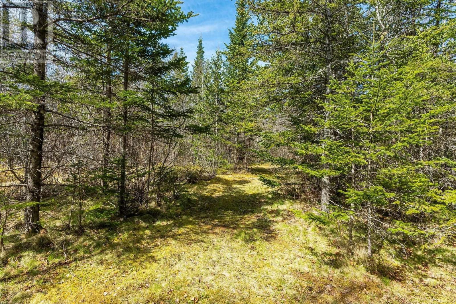 Lot Back Road, Lansdowne, Nova Scotia  B0S 1B0 - Photo 9 - 202409179