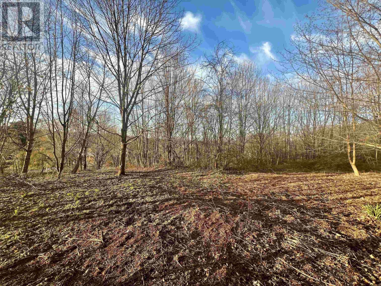 Lot 2022-2 Greenfield Road, Gaspereau, Nova Scotia  B4P 2R3 - Photo 8 - 202409252