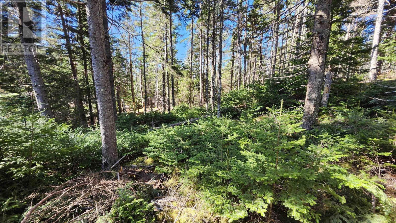 Lot A-3 Highway 329, Blandford, Nova Scotia  B0J 1T0 - Photo 10 - 202409278