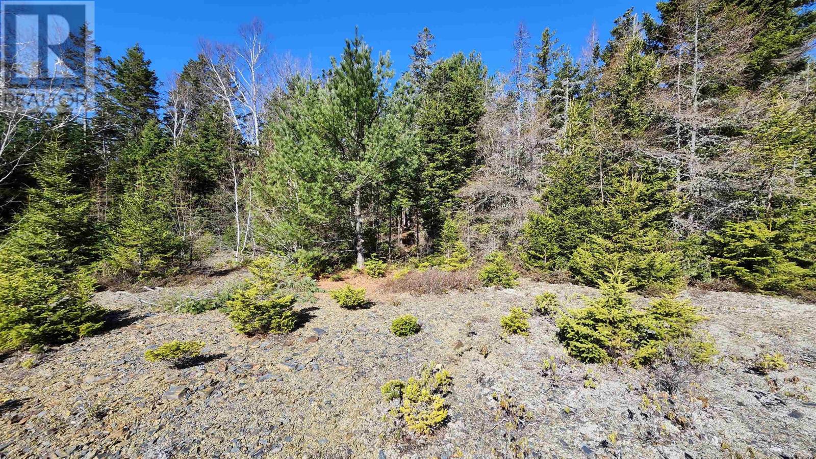 Lot A-3 Highway 329, Blandford, Nova Scotia  B0J 1T0 - Photo 4 - 202409278