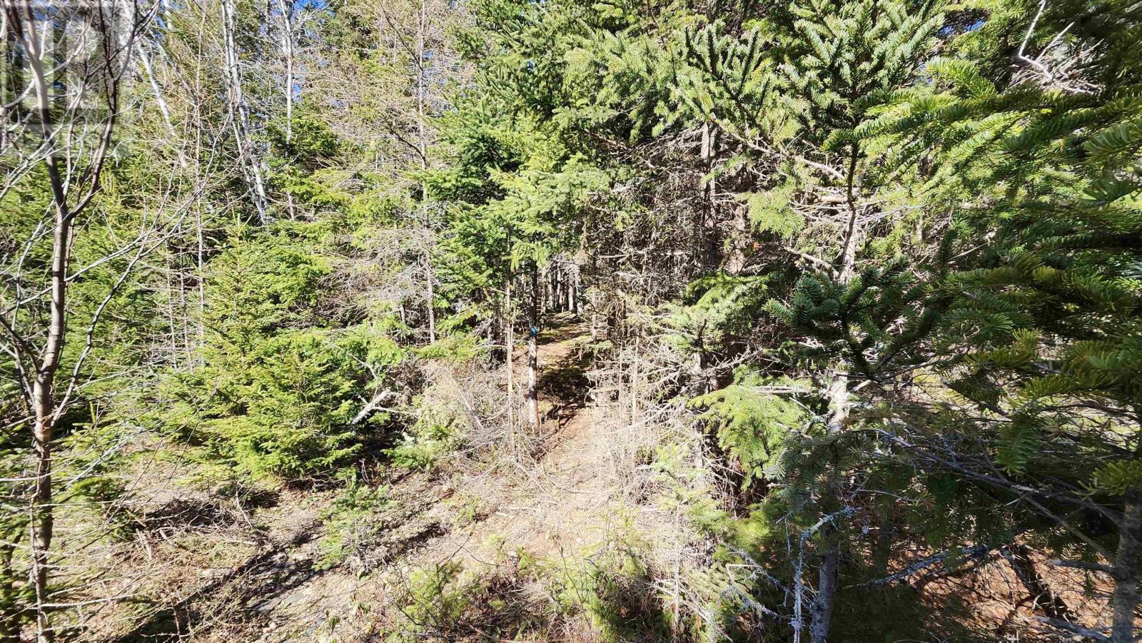 Lot A-3 Highway 329, Blandford, Nova Scotia  B0J 1T0 - Photo 5 - 202409278