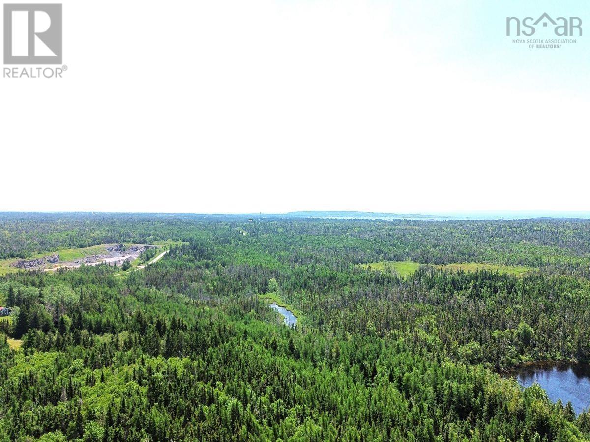 Lot 4 Grandique Road, Arichat, Nova Scotia  B0E 1K0 - Photo 10 - 202409283