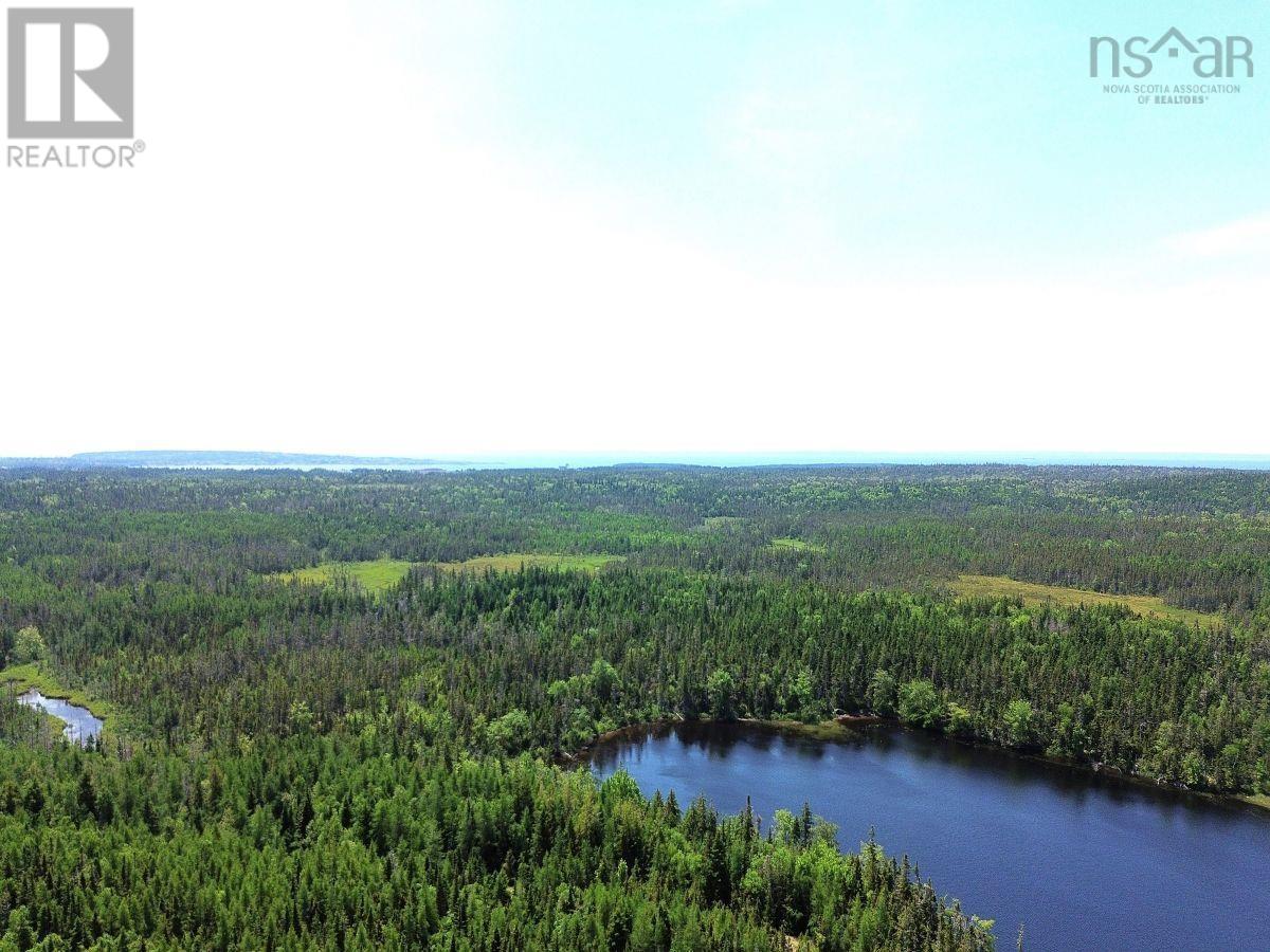 Lot 4 Grandique Road, Arichat, Nova Scotia  B0E 1K0 - Photo 11 - 202409283