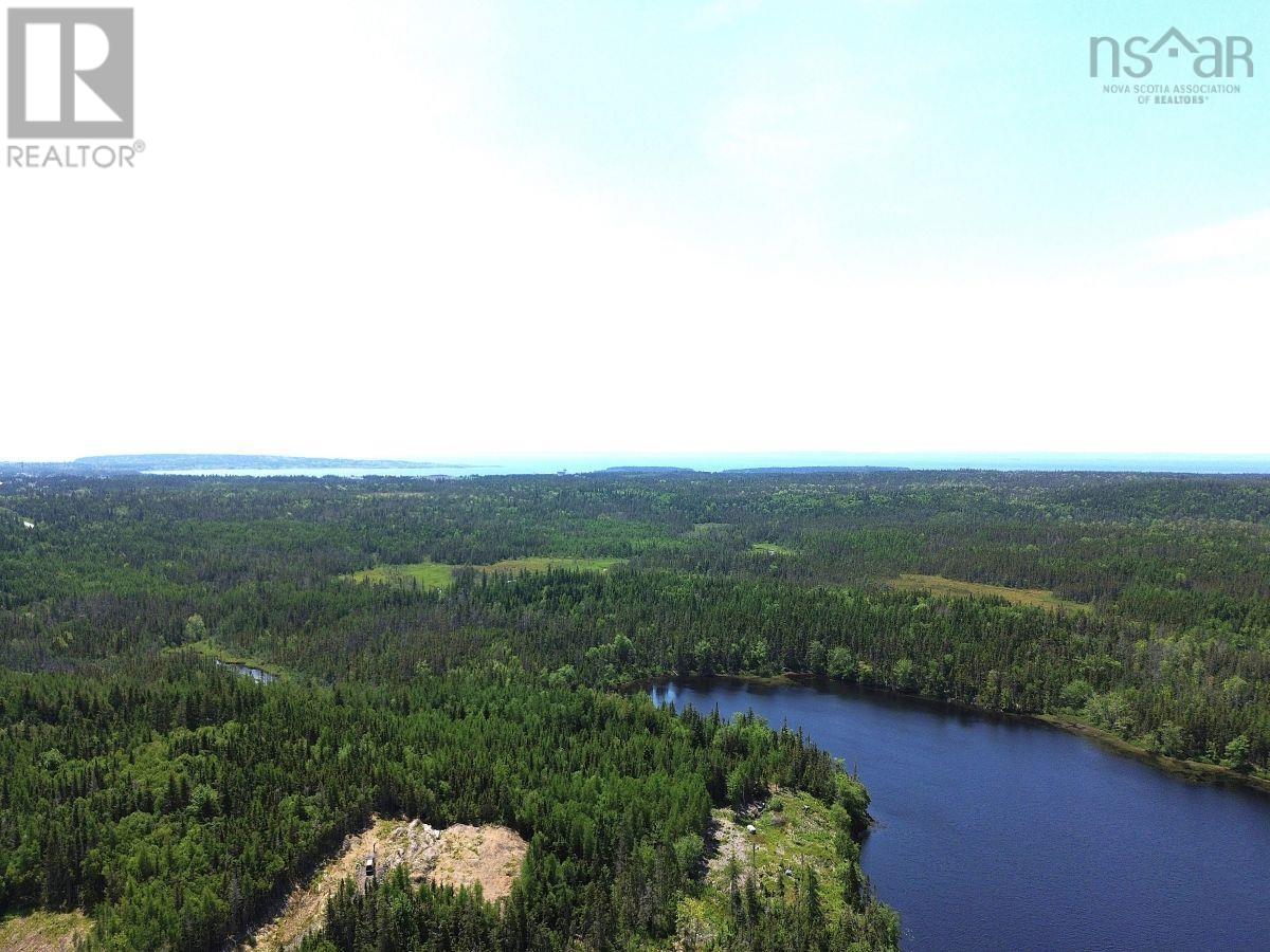 Lot 4 Grandique Road, Arichat, Nova Scotia  B0E 1K0 - Photo 2 - 202409283