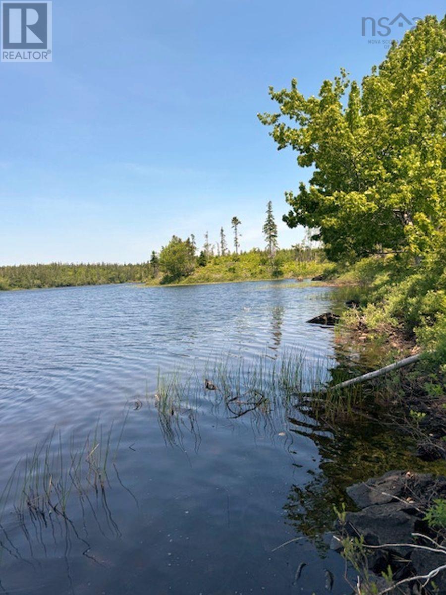 Lot 4 Grandique Road, Arichat, Nova Scotia  B0E 1K0 - Photo 25 - 202409283