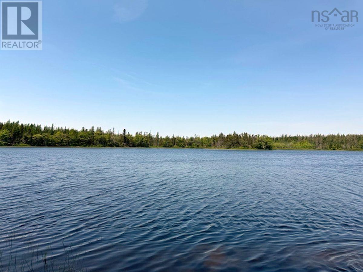 Lot 4 Grandique Road, Arichat, Nova Scotia  B0E 1K0 - Photo 28 - 202409283