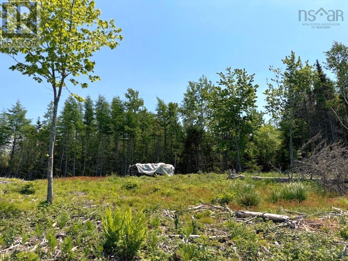 Lot 4 Grandique Road, Arichat, Nova Scotia  B0E 1K0 - Photo 29 - 202409283