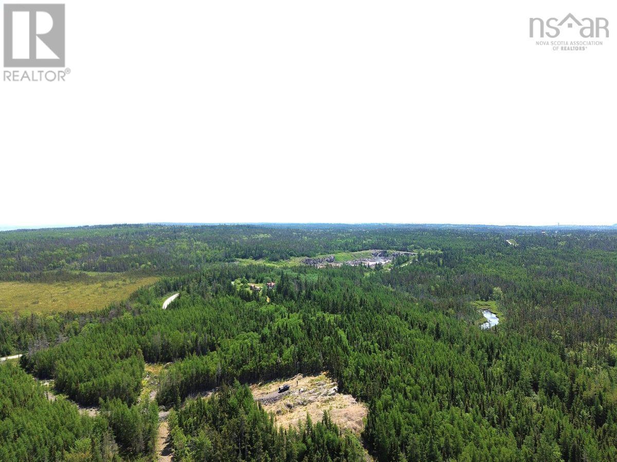 Lot 4 Grandique Road, Arichat, Nova Scotia  B0E 1K0 - Photo 3 - 202409283