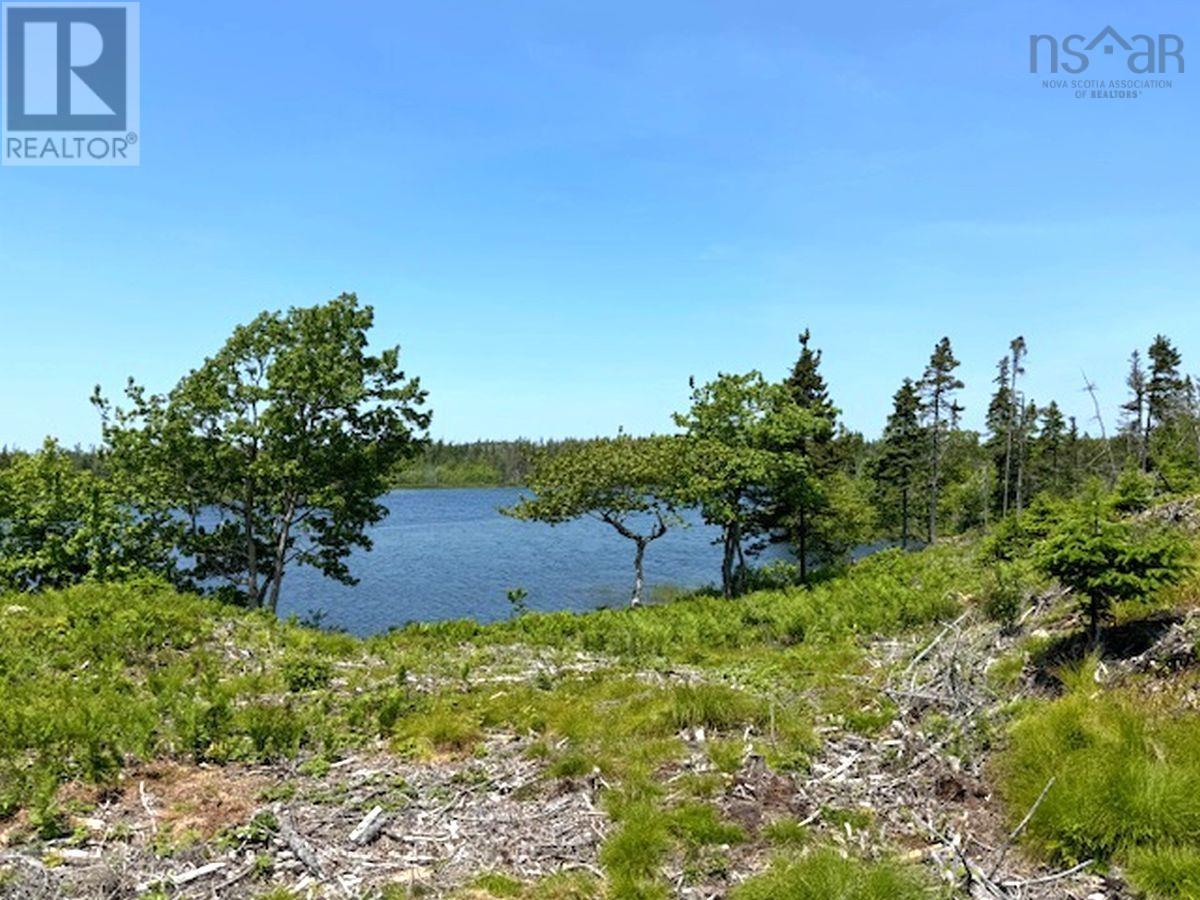 Lot 4 Grandique Road, Arichat, Nova Scotia  B0E 1K0 - Photo 30 - 202409283