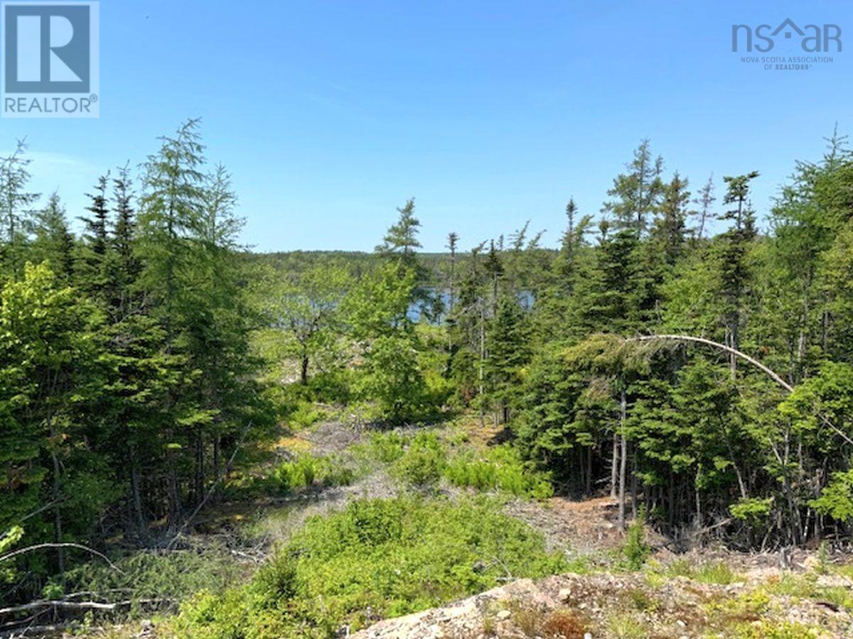 Lot 4 Grandique Road, Arichat, Nova Scotia  B0E 1K0 - Photo 32 - 202409283