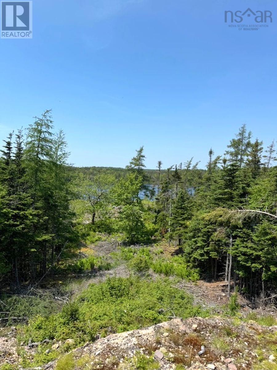 Lot 4 Grandique Road, Arichat, Nova Scotia  B0E 1K0 - Photo 33 - 202409283