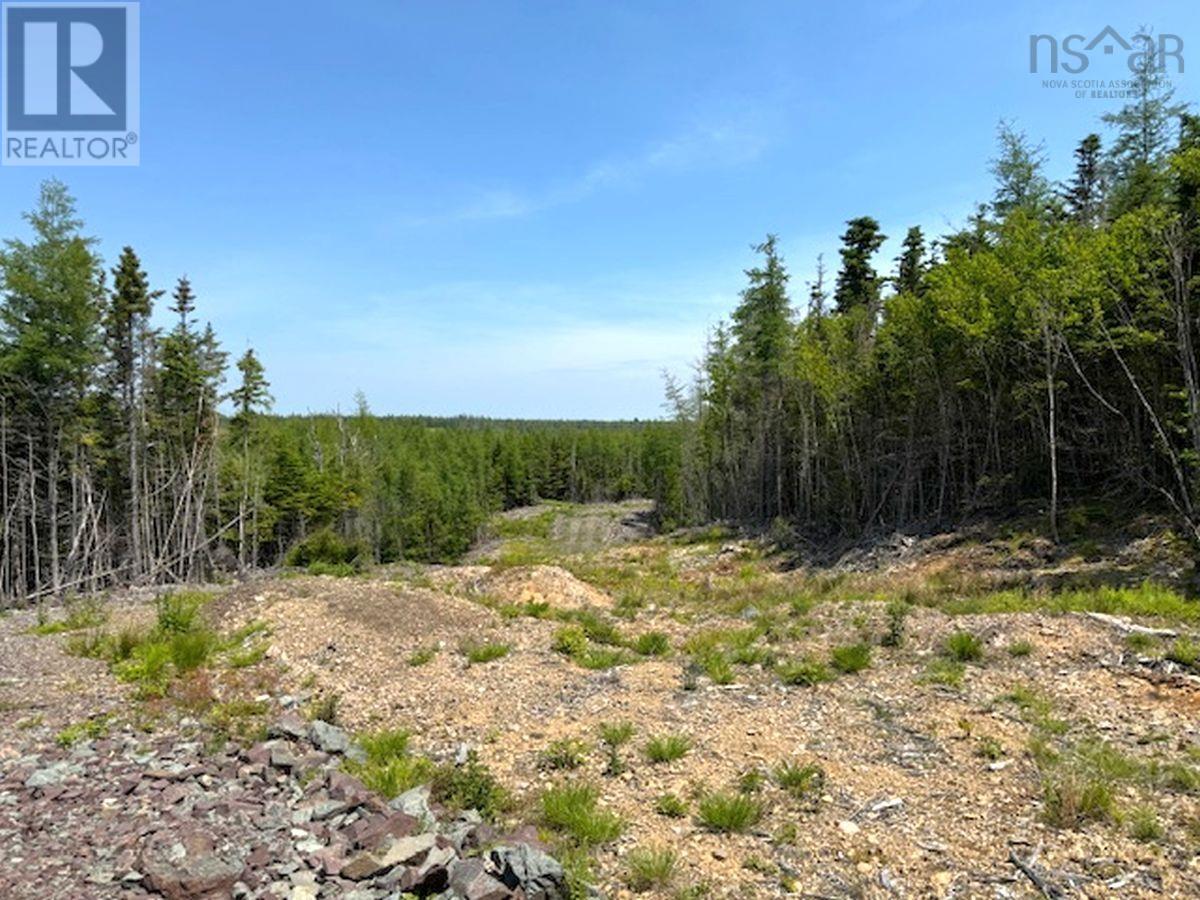 Lot 4 Grandique Road, Arichat, Nova Scotia  B0E 1K0 - Photo 34 - 202409283