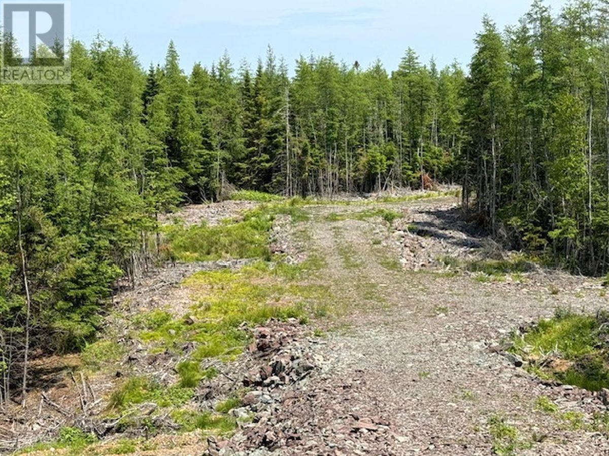 Lot 4 Grandique Road, Arichat, Nova Scotia  B0E 1K0 - Photo 35 - 202409283