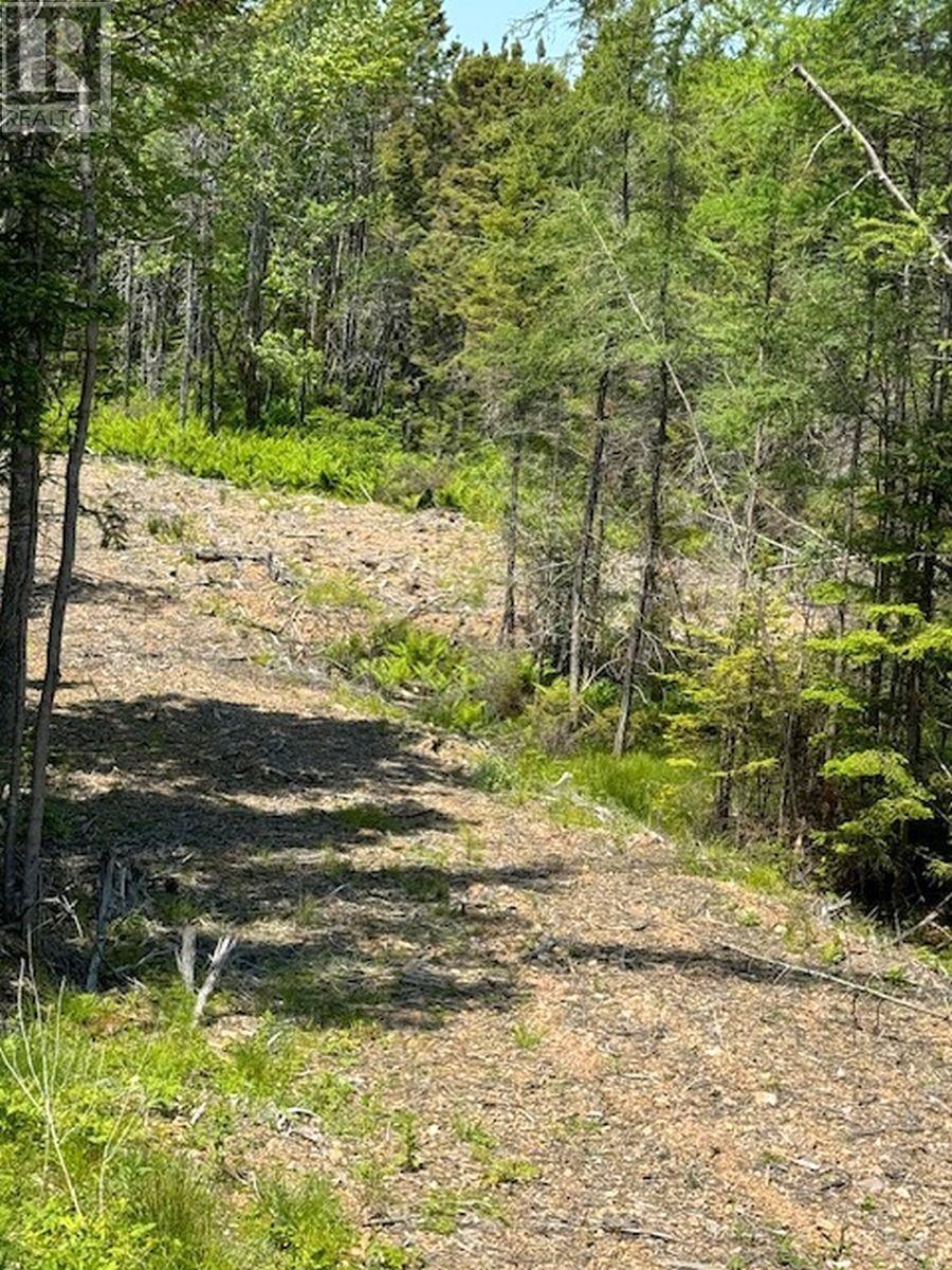 Lot 4 Grandique Road, Arichat, Nova Scotia  B0E 1K0 - Photo 36 - 202409283