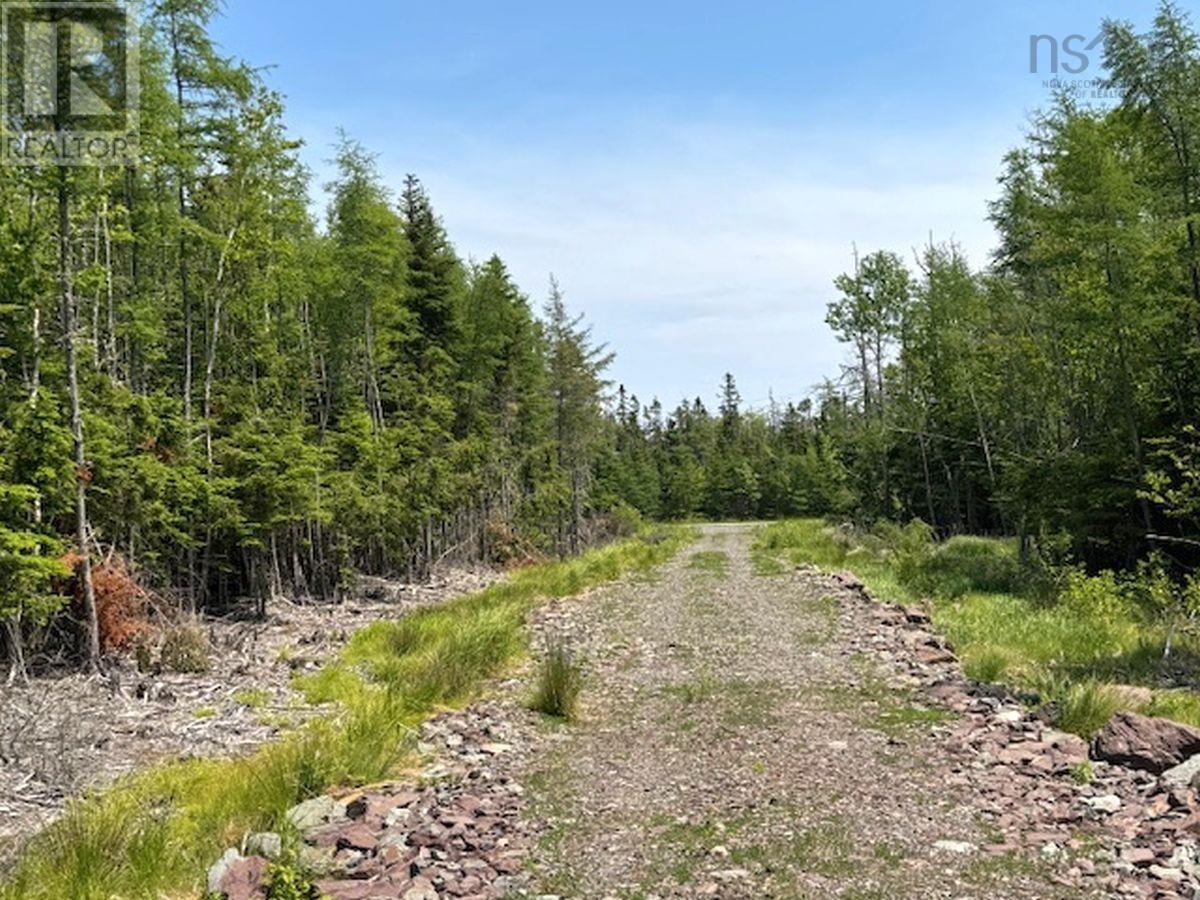 Lot 4 Grandique Road, Arichat, Nova Scotia  B0E 1K0 - Photo 37 - 202409283