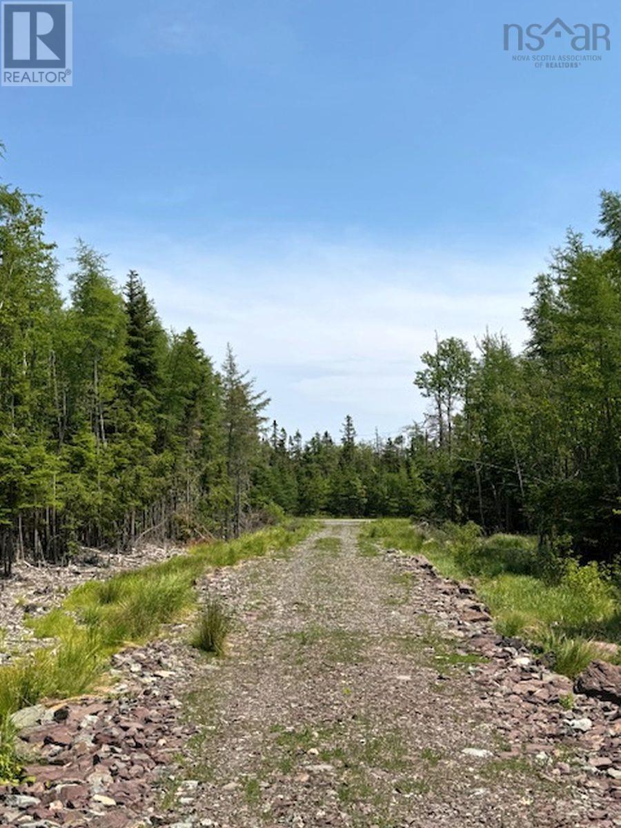 Lot 4 Grandique Road, Arichat, Nova Scotia  B0E 1K0 - Photo 38 - 202409283