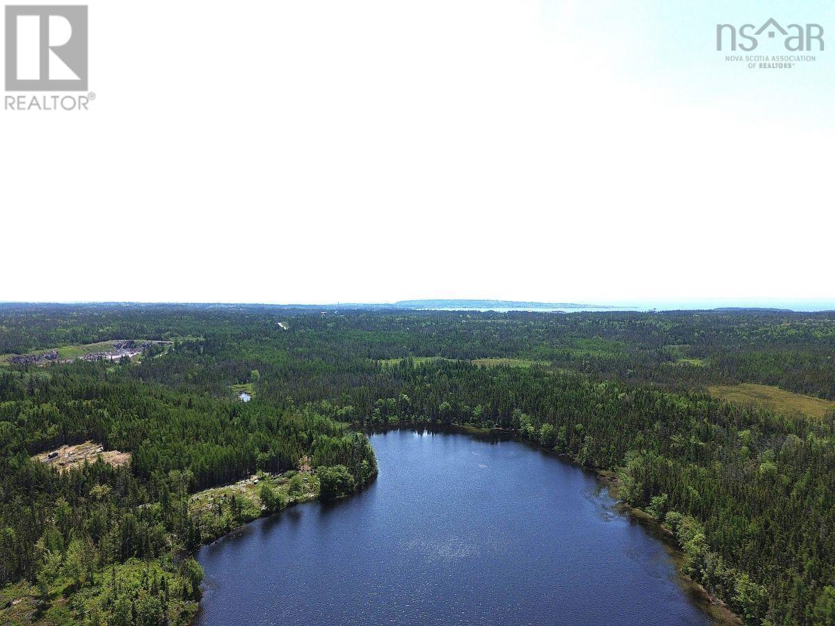 Lot 4 Grandique Road, Arichat, Nova Scotia  B0E 1K0 - Photo 6 - 202409283