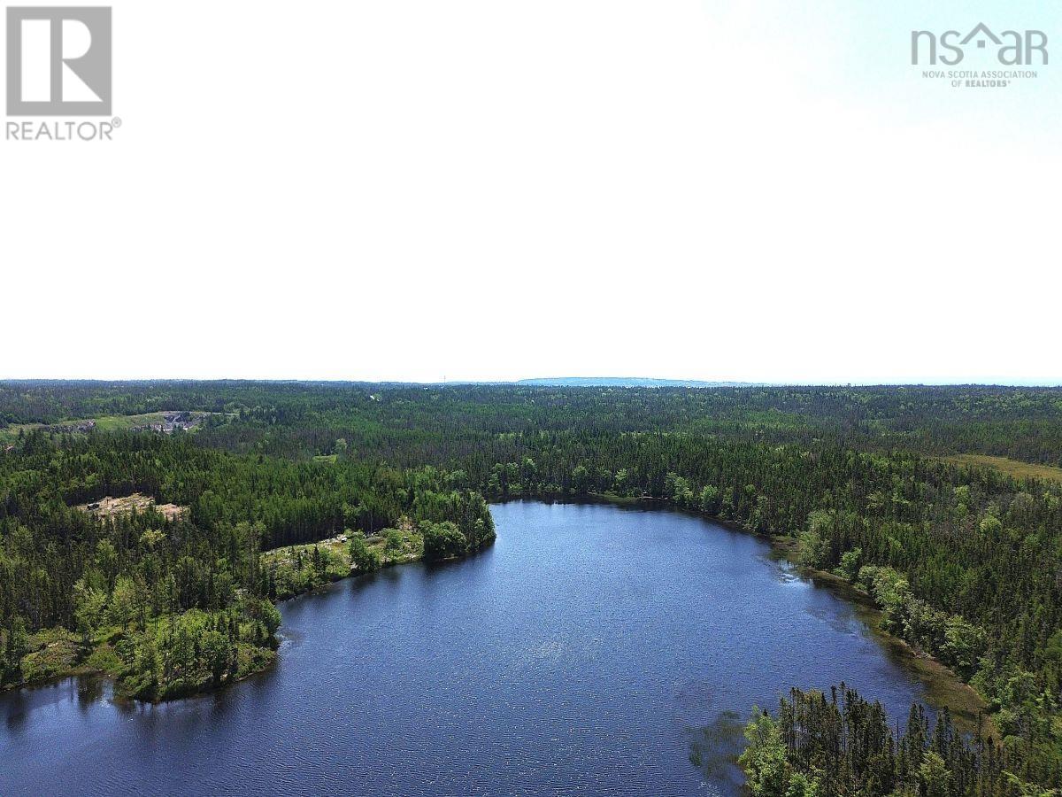 Lot 4 Grandique Road, Arichat, Nova Scotia  B0E 1K0 - Photo 7 - 202409283