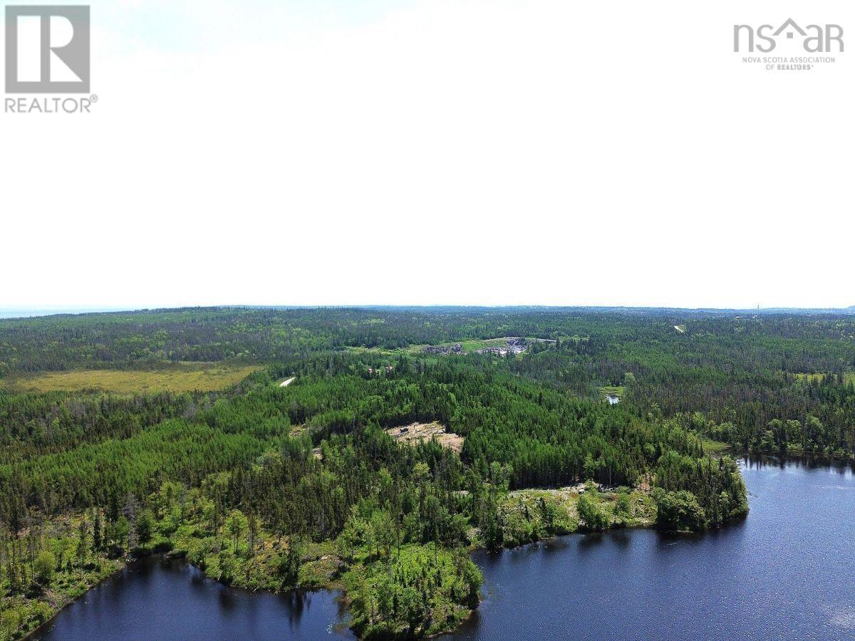 Lot 4 Grandique Road, Arichat, Nova Scotia  B0E 1K0 - Photo 8 - 202409283