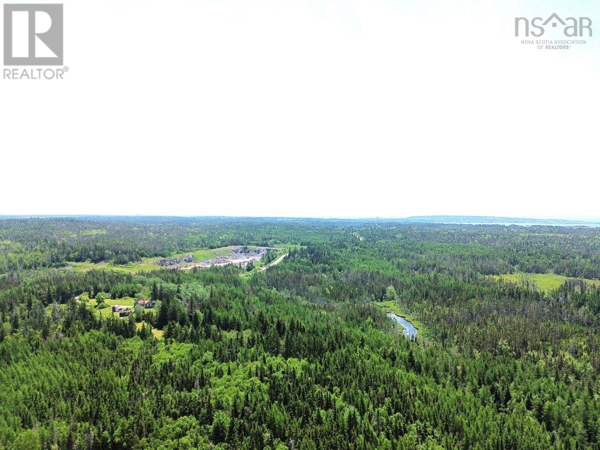 Lot 4 Grandique Road, Arichat, Nova Scotia  B0E 1K0 - Photo 9 - 202409283