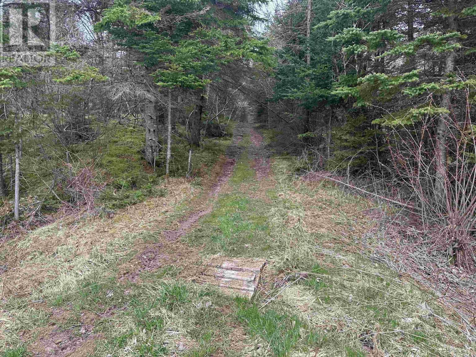 Lot 15 Lower River Road, Grantville, Nova Scotia  B0E 1J0 - Photo 3 - 202409310