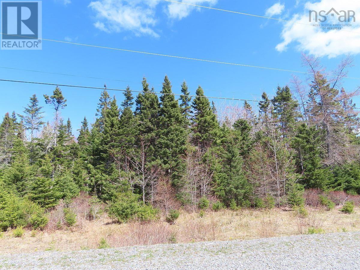 Lot 1a-41 Maple Drive, Cape George, Nova Scotia  B0E 3B0 - Photo 16 - 202409315