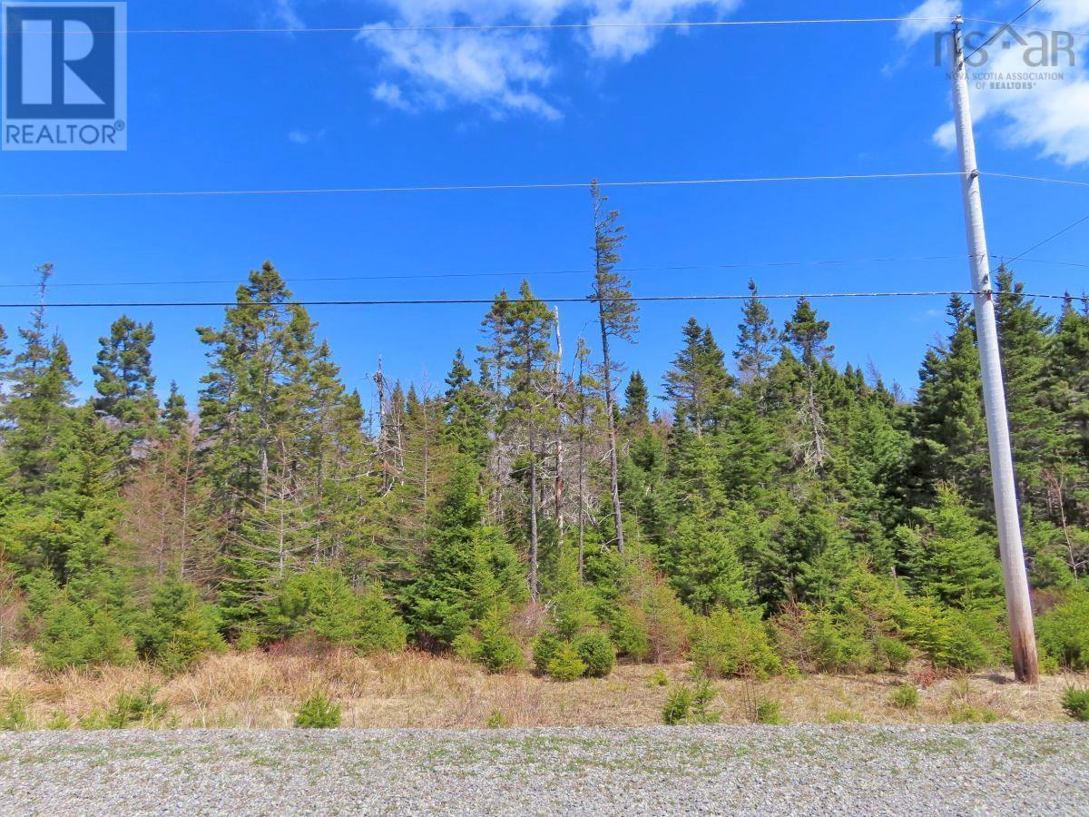 Lot 1a-41 Maple Drive, Cape George, Nova Scotia  B0E 3B0 - Photo 19 - 202409315