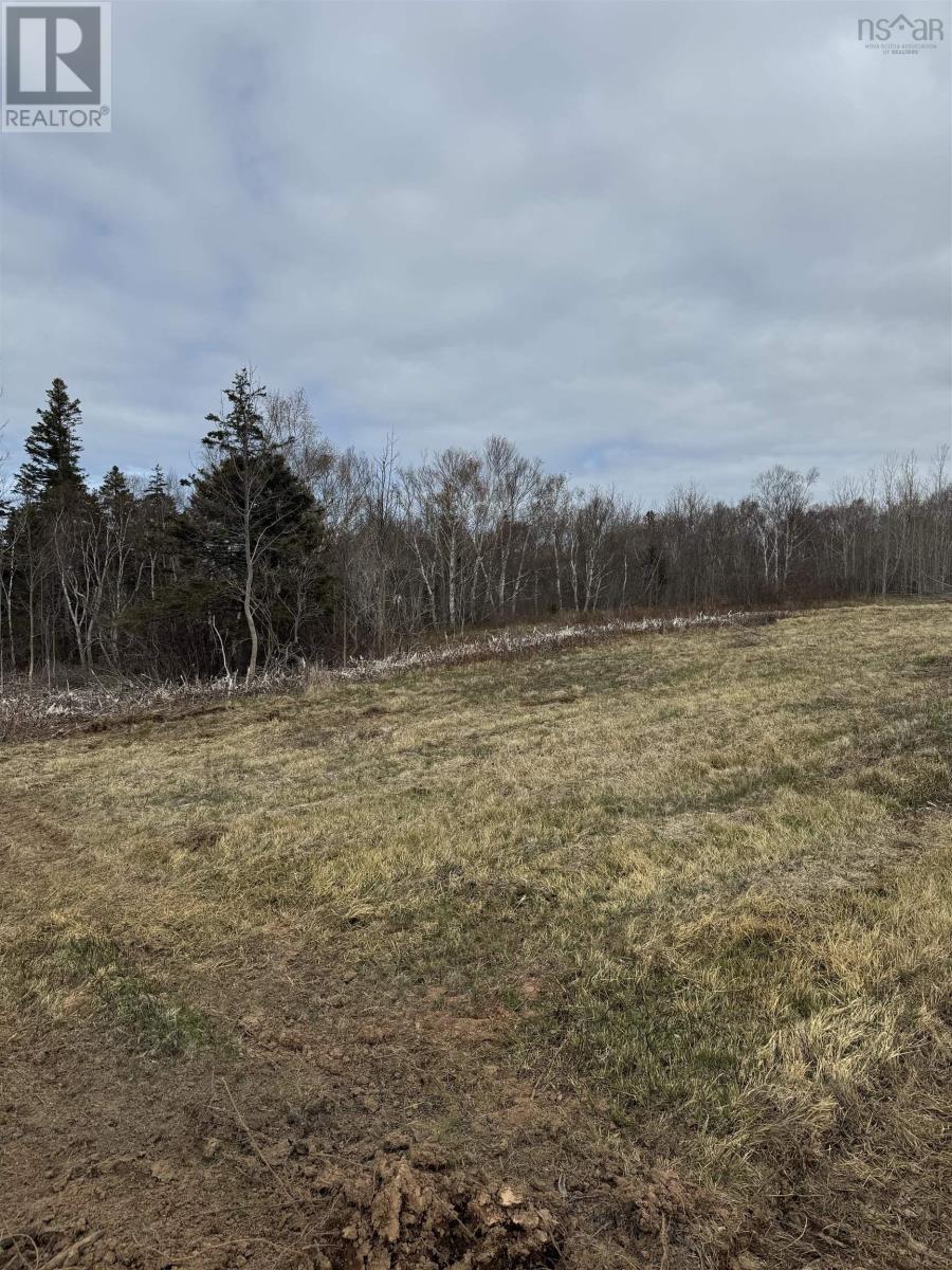 Lot 2 Shore Road West, Phinneys Cove, Nova Scotia  B0S 1L0 - Photo 10 - 202409367