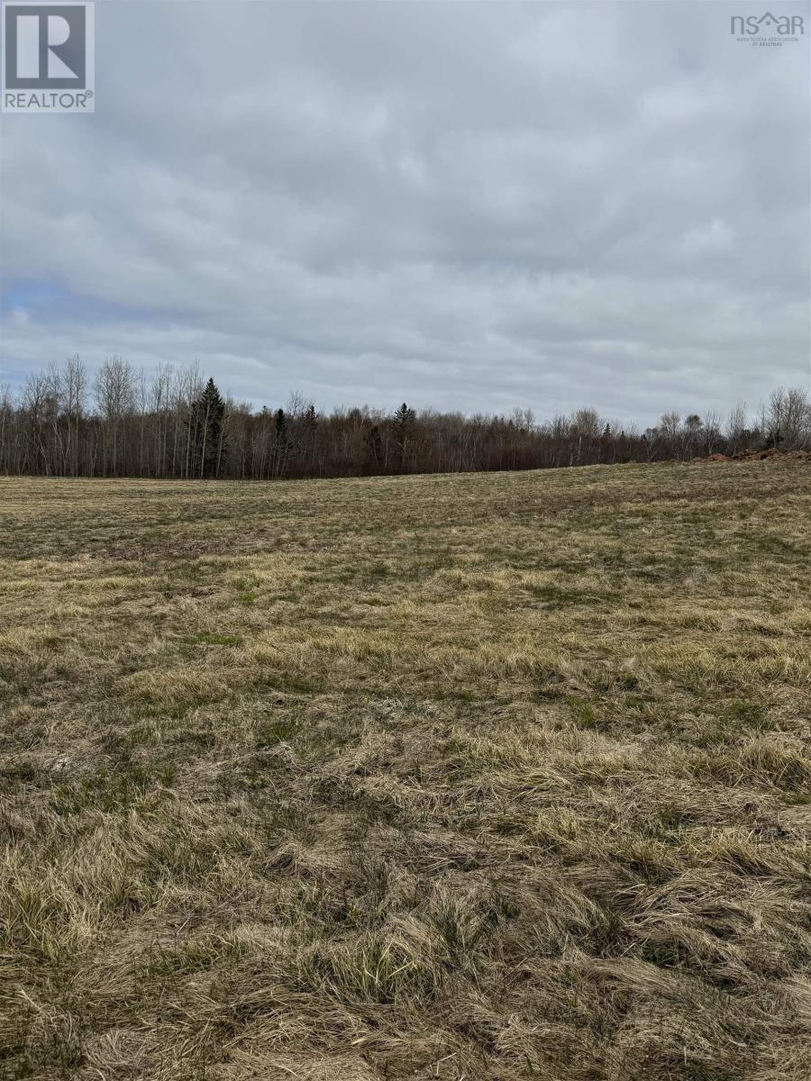 Lot 2 Shore Road West, Phinneys Cove, Nova Scotia  B0S 1L0 - Photo 4 - 202409367