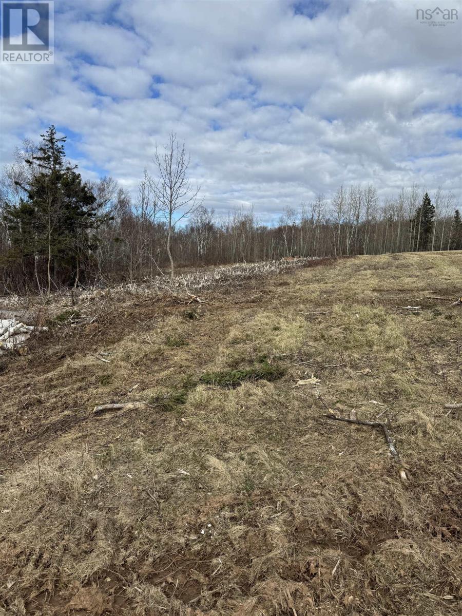 Lot 2 Shore Road West, Phinneys Cove, Nova Scotia  B0S 1L0 - Photo 5 - 202409367