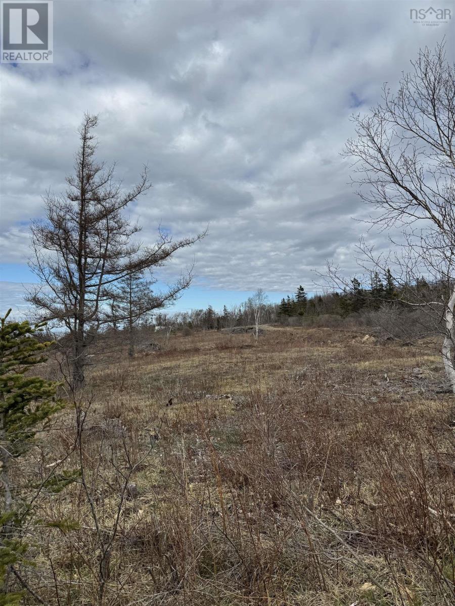 Lot 8b Shore Road West, Phinneys Cove, Nova Scotia  B0S 1L0 - Photo 10 - 202409379