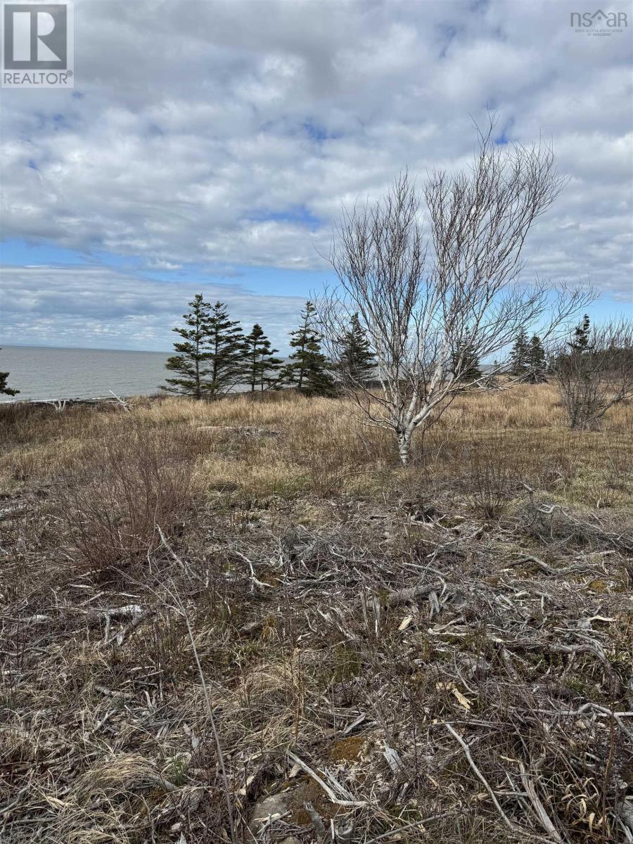 Lot 8b Shore Road West, Phinneys Cove, Nova Scotia  B0S 1L0 - Photo 7 - 202409379