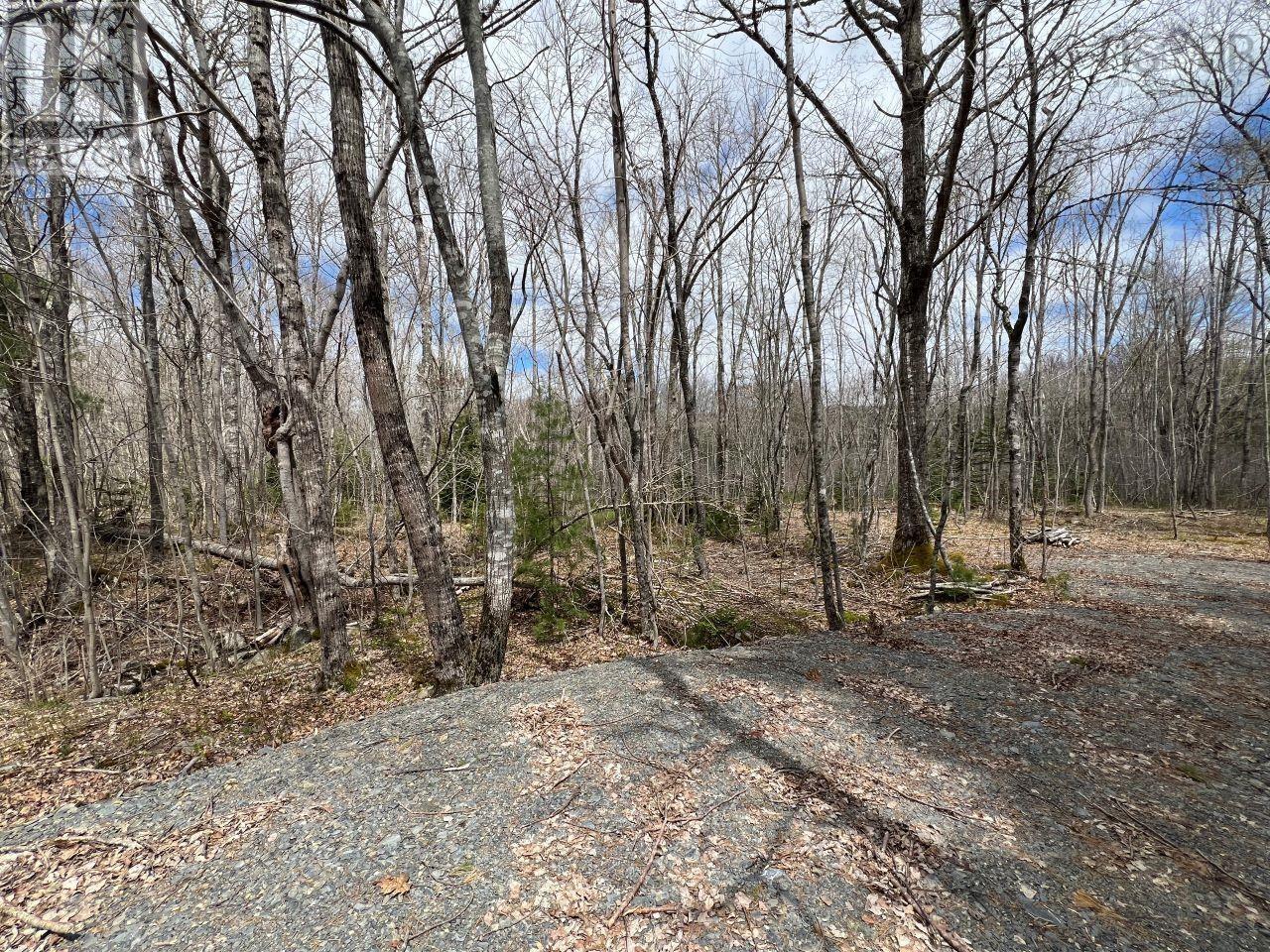 Hibernia Road, Hibernia, Nova Scotia  B0T 1B0 - Photo 11 - 202409389